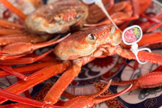 【秋季限定/美食の饗宴】松茸黒毛和牛しゃぶしゃぶ × 香住蟹のボイル姿付き|秋季贅沢コース【ヴィラ】 【秋季限定/美食の饗宴】松茸黒毛和牛しゃぶしゃぶ × 香住蟹のボイル姿付き|秋季贅沢コース【ヴィラ】