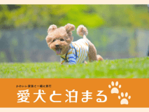 【愛犬と一緒に旅行】を応援