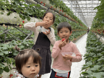 【いちご狩りプラン♪】阿蘇健康農園でおいしいイチゴ食べ放題！ファミリーに人気＜トレーラー泊&times;食事なし＞