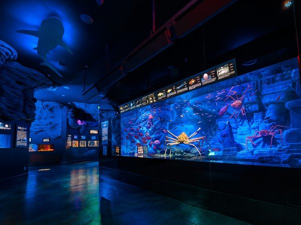 沼津深海魚水族館大水槽