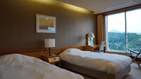 810号室 特別和洋室の洋室スペース