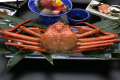 魚津漁港より直送！水分多く身が柔らかい深海の宝です！【紅ズワイ蟹豪華丸ごと１パイ】プラン〈会場食〉