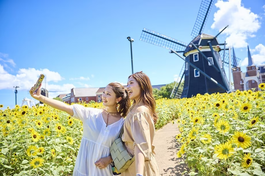 夏だけの花絶景(※昨年の様子) 夏だけの花絶景(※昨年の様子)