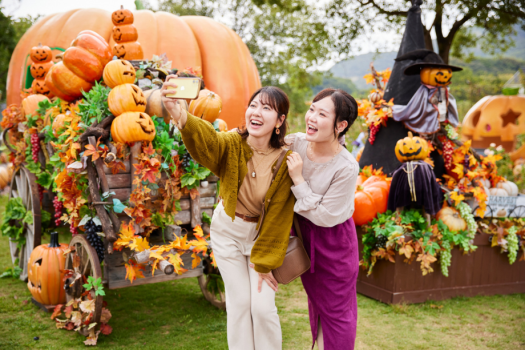 秋限定のフォトスポットも！（※昨年の様子）