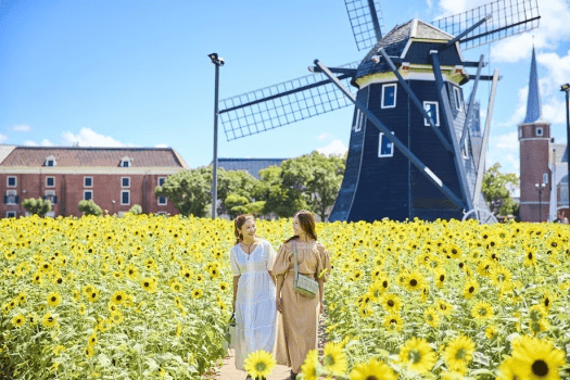 黄金色のひまわりに囲まれて、非日常の休日を。（※昨年の様子）