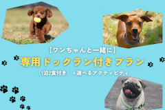【ワンちゃんと一緒に】専用ドックラン付きプラン（一泊2食付き）