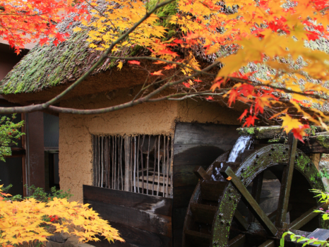 秋の水車小屋