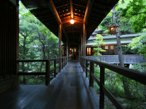 緑が美しい季節の渡り廊下