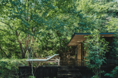 冬の静寂 ウェルネスリトリート/夕朝食付き