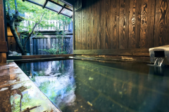 離れ【きすみれ】