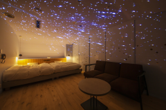 【スターツイン】