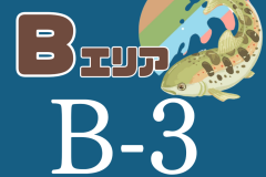 B3
