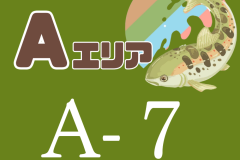A7
