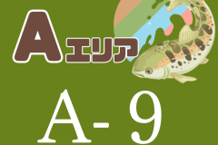 A9