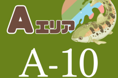 A10