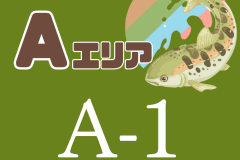 A1