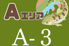 A3