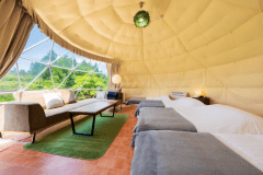 ②貸切温泉客室付ドームテント　ダブルベッド&times;2台　シングルベッド&times;2台