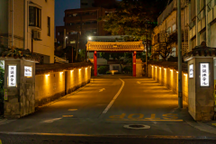 [Accommodation with tangible cultural properties] A trip to enjoy Okinawa's Uchina culture that can only be experienced here in Naha <Room only>