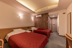 Moderate Twin Room/21 square meters