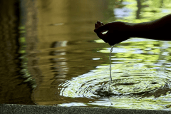 当館は大浴場・客室風呂すべてに、上質な「道後温泉」の湯を使用しております。