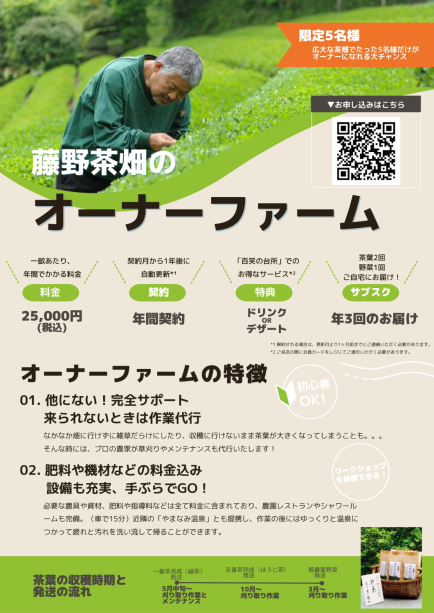 お茶のオーナーファーム【年間契約】※大人限定5名様