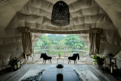 「FUJINOの朝靄」ECRU（エクリュ/小型犬OK）