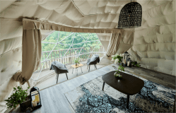 「FUJINOの朝靄」ECRU（エクリュ/小型犬OK）