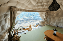 「FUJINOの夜空」RURI（ルリ/動物NG）