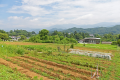 野菜の収穫体験プラン（ランチ込み・野菜持ち帰り込み）2名様から予約可