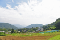 野菜の収穫体験プラン（ランチ込み・野菜持ち帰り込み）2名様から予約可