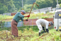 野菜の収穫体験プラン（ランチ込み・野菜持ち帰り込み）2名様から予約可