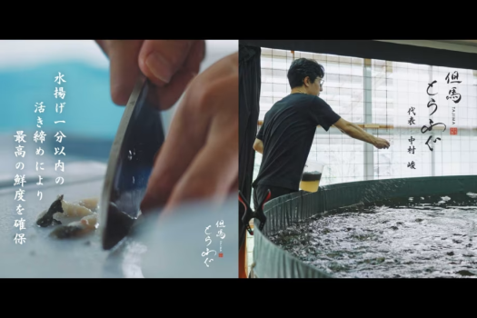 【但馬とらふぐ】高鮮度のフグ尽くし料理｜ふぐ刺身・焼きふぐ・てっちり鍋 等｜但馬とらふぐコース