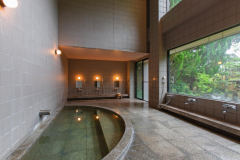 素泊まりプラン｜泉質自慢の大浴場｜Wi-Fi完備