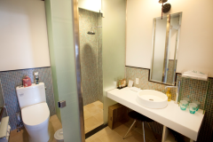 Ｅタイプ　ヘブンリーシャワーブース付き和室１０畳