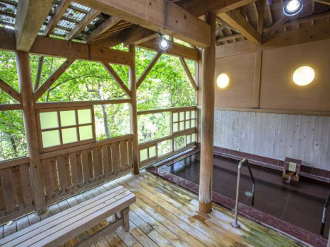 渓谷を望む石露天風呂（露天風呂からの新緑や紅葉、雪景色が人気です）