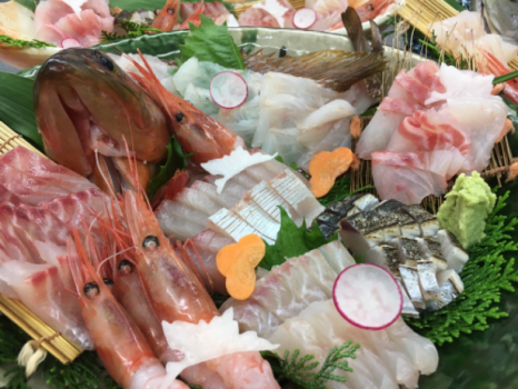 丹後天然地魚、お造り盛り合わせ（イメージですので当日の内容とは異なります）