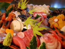 たっぷり丹後旬の海の幸を堪能!「地魚造り盛コース」!旬の地魚・地野菜を使用した創作会席料理も! たっぷり丹後旬の海の幸を堪能!「地魚造り盛コース」!旬の地魚・地野菜を使用した創作会席料理も!