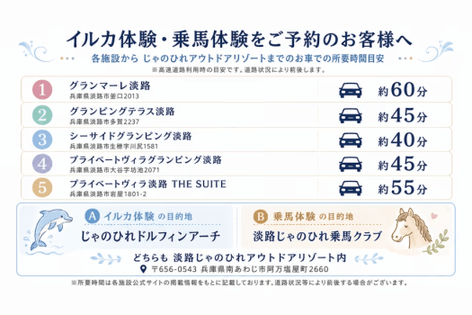 【イルカ体験付き】ドルフィンドリームステイ｜ふれあい or スイミング（素泊まり）｜アクティビティ