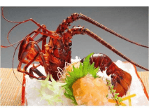 伊勢海老姿造り