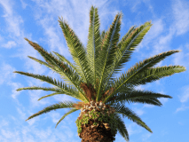 【家族旅行応援！ファミリープラン】～9歳以下のお子様は無料でご招待！～