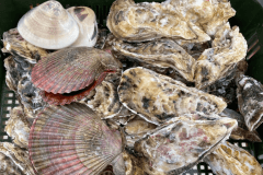 【期間限定】■牡蠣焼きプラン■糸島の海の幸を頬張る至福の滞在！～「Aroma Olive」の特別なグランピングを楽しむ贅沢時間～＜選べるお食事＞