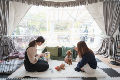 【秋田県民応援割】愛犬といっしょに🐾99glamドームテント　２食付き