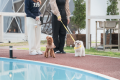 【東北在住者限定割】愛犬といっしょに🐾99glamドームテント　２食付き
