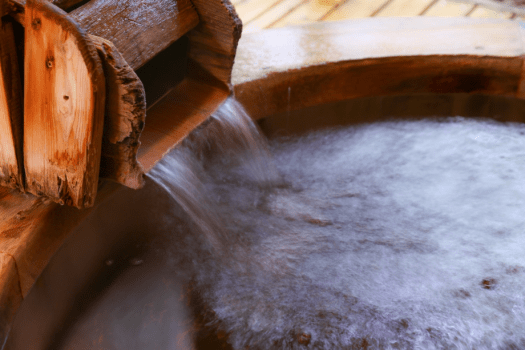 【ありがとうを贈る親孝行旅】記念写真＆花のプレゼント付き