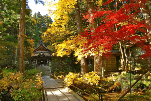 【秋の光前寺】