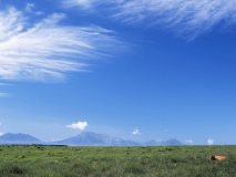 【眺望】遠くに阿蘇五岳を見渡す絶景が広がります