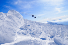 蔵王の樹氷イメージ（樹氷形成時期／例年12月下旬～3月上旬）