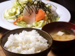フクロウダイニング　ご飯、お味噌汁、本日のサラダお代わり自由！