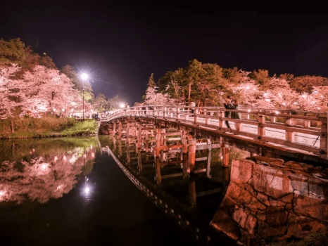 日本三大夜桜の絶景がここに！「高田城址公園観桜会」信じられないほど優雅な花見が楽しめます／朝食のみ